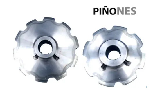 Piñones para transportador